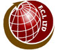 Financial Consultants International